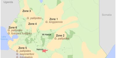 Kenia instituutin tutkimus ja kartoitus maksu rakenne